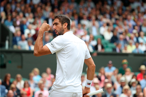 Cilic primed for Federer showdown