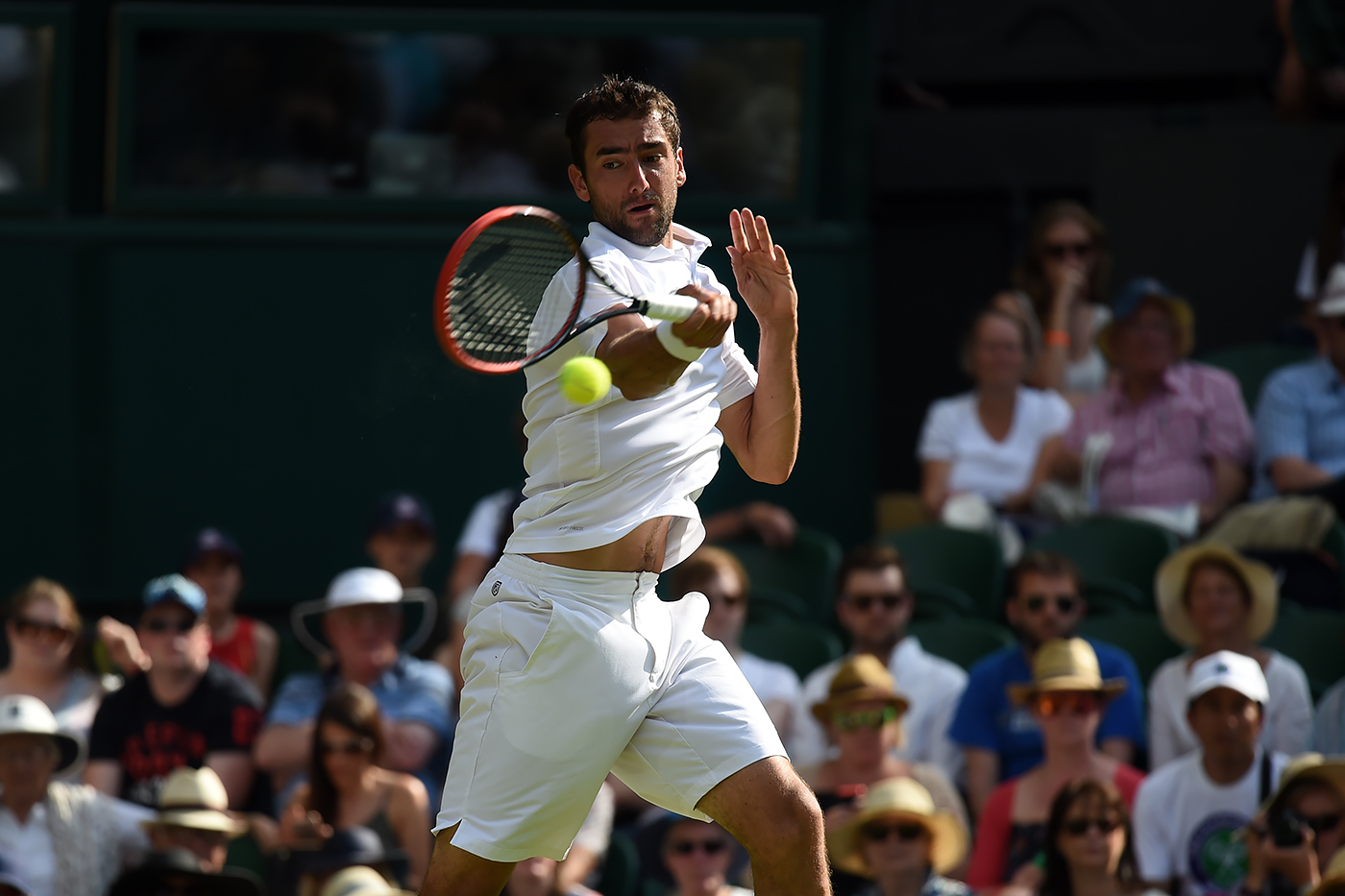 Berankis makes Cilic sweat for victory - The Championships, Wimbledon