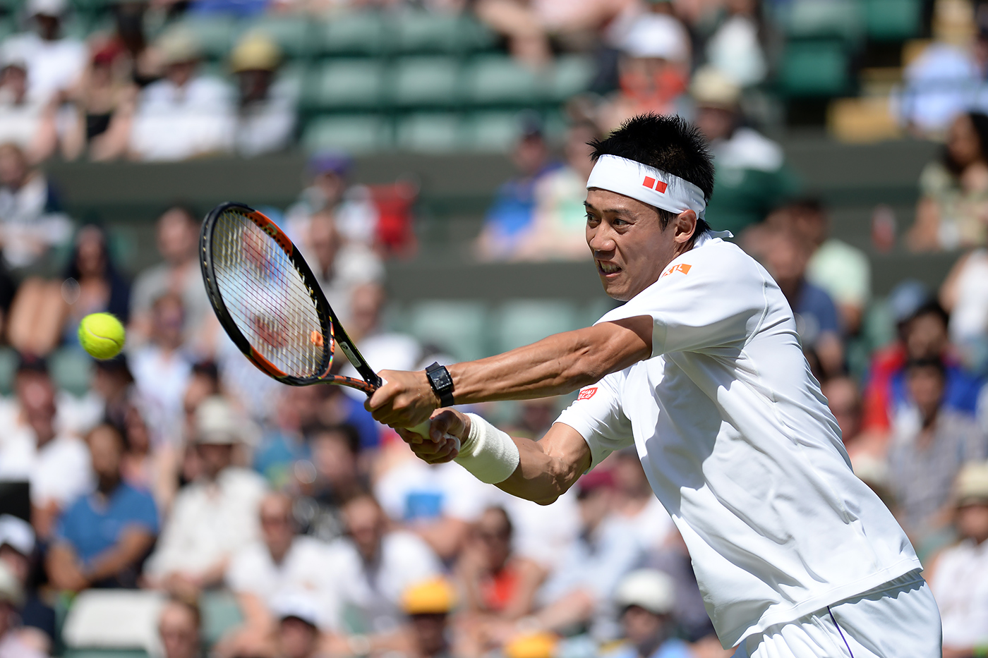 KEI NISHIKORI in ATP World Tour 2015　DVD KEI NISHIKORI in ATP World Tour 2015 DVD